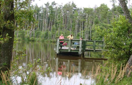 Agroturystyka Pod Kogutkiem - Foto 20