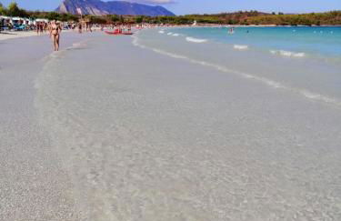 Green House - Foto 58