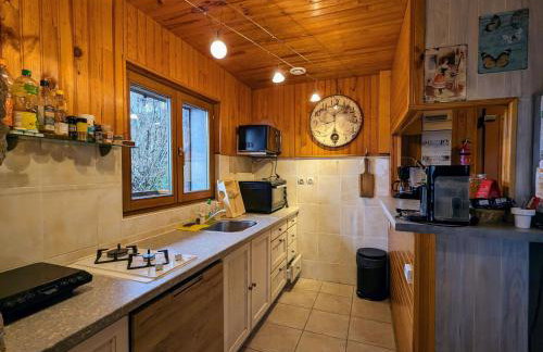 Chalet 3 étoiles avec sauna près de La Bresse - FR-1-589-18 - Foto 23