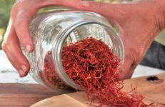 Agriturismo Campo Luente - Foto 15