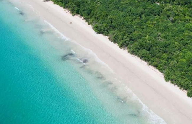 Excursión a la isla de Anchieta y la playa de Sete Fontes - Foto 2
