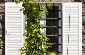 Casa Amarela Apartments - by Casas na Ilha - Foto 1