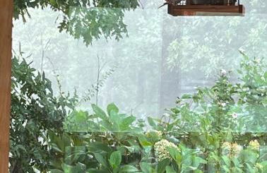 Lux Family Friendly Mountain Home - Foto 15