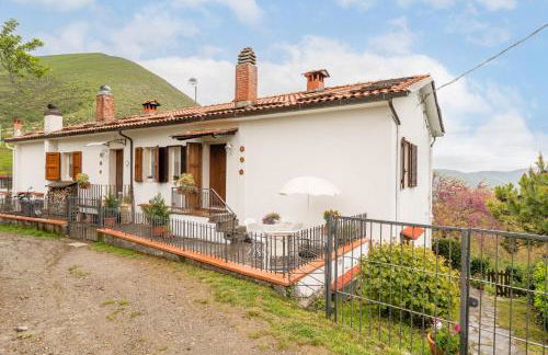 Sassi Scritti - Acero Montano - Foto 23