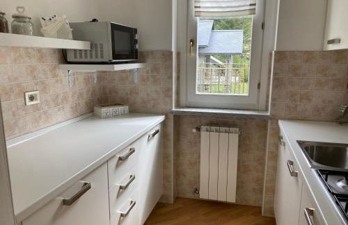 La Piana Vigezzo Santa Maria Maggiore Piano Terra con giardino - Foto 9