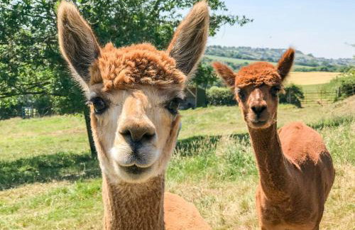 The Granary - Photo 43