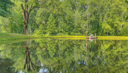 20-Acre Cabin w/ Pond: 5 Mi to Biltmore Estate! - Foto 2