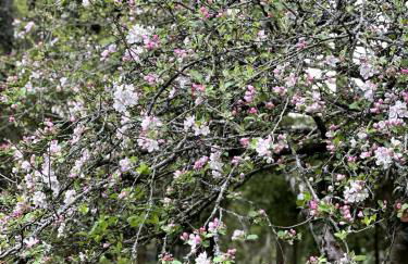 Tranquil home at Westerlands Farm, Sleeps 7, The South Downs - Foto 51