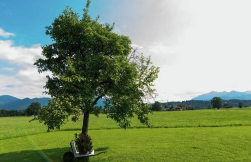 Bayerischer Rückzugsort in der Nähe des Chiemsees - Foto 24