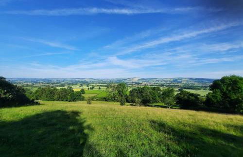 The Hen Den - Foto 18