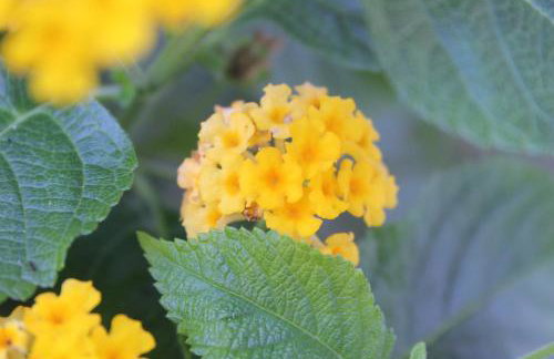 Sea Breeze - Foto 28