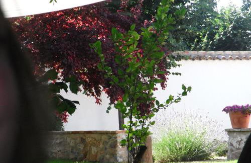 Casa Rural La Alameda - Foto 38