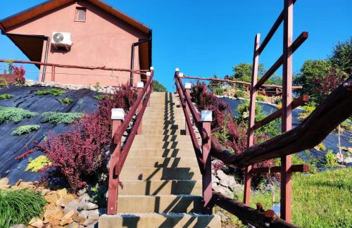 Agroturystyka Faron - Foto 21