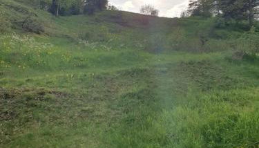 Haus Goldfuß - Foto 5