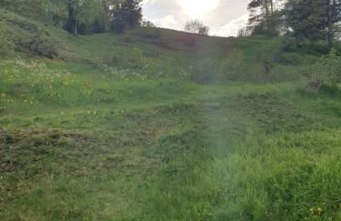 Haus Goldfuß - Foto 5