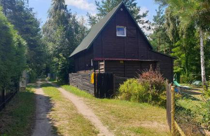 domki nad jeziorem, las, do 10 osób jezioro Wilczyńskie Budzisławskie - domek letniskowy osobno ogrodzony, ogrzewany mile widziane pieski, zwierzeta- wielkopolska, 62-550 Zygmuntowo gm Wilczyn - Photo 1