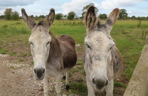 The Parlour - Foto 36