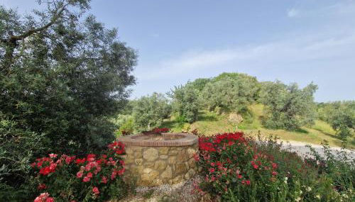 Agriturismo Ai Massi - Foto 5, Garden, Garden view