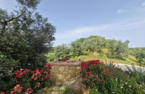 Agriturismo Ai Massi - Foto 5