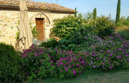 MYRTUS PODERE CUNINA - Foto 16