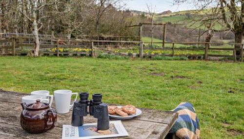 4 Bed in Painscastle 90375 - Foto 4, Other