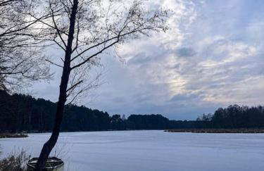 Zacisze leśne w Juliance - Foto 6