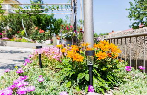 Apartman Gržetić - Foto 35