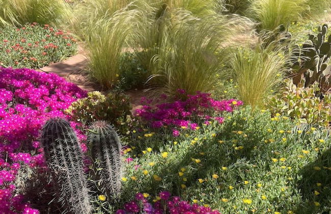 Dar Talmout - Photo 15