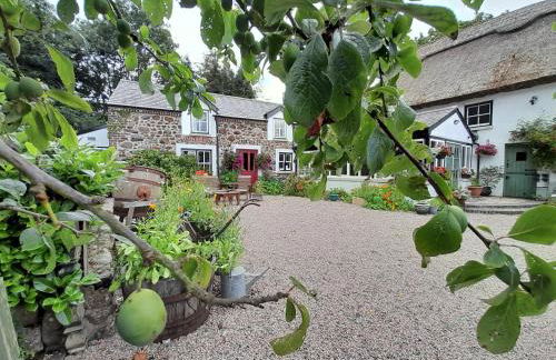 Berwickhall Apartment - Foto 15