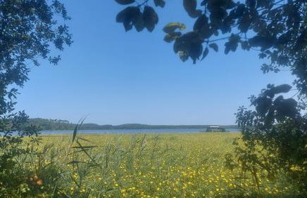 T2, 50m du lac, PISCINE, WIFI, jardin terrasse sans vis-à-vis, 1 à 4 pers - Photo 42