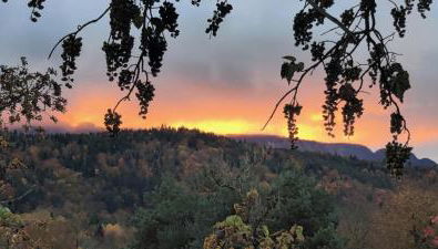 C le birdie - Foto 5