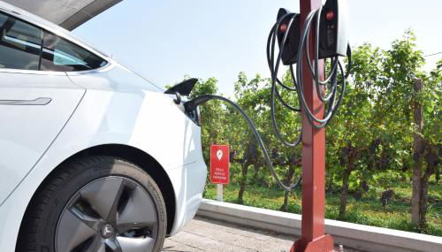 Tenuta Santomè - Foto 4