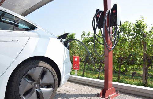 Tenuta Santomè - Foto 4