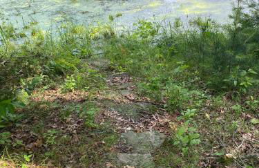 New Listing 2BR/2BA on Trout Lake HotTub & Firepit - Foto 16