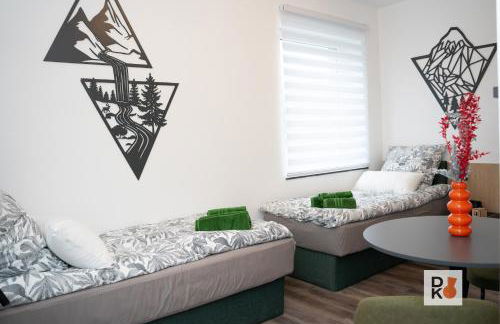 Studio-Apartament free Parking Domus Kushal - Foto 37