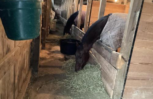 Farmhouse of Blessings - Foto 68