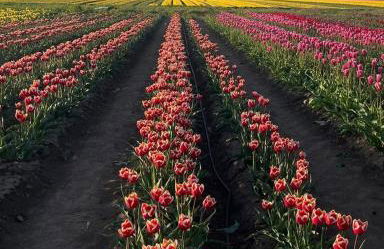 Ferienwohnung Lion - Foto 20