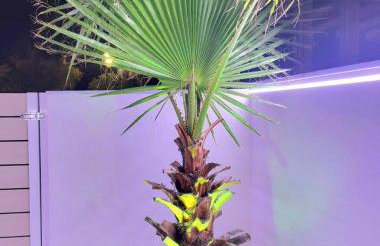 SUN SEA No 7 first line - Foto 59