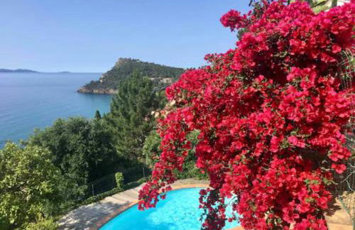 Villa les Alizés - Foto 42