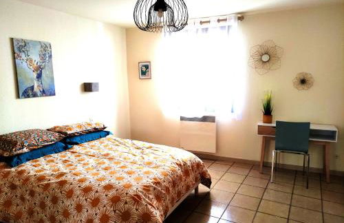 Location Papallona - Foto 57