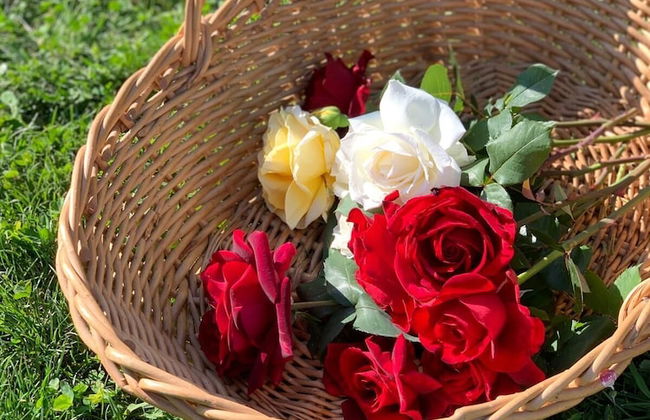 Welcome to Lush Tuscany and Beautiful Villa Adriano - Foto 29