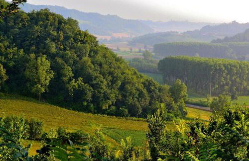 TENUTA MONVILLONE COUNTRY HOUSE & RESTAURANT - Foto 81