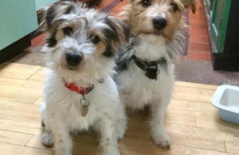 Unique Artists studio with a private garden. - Foto 27