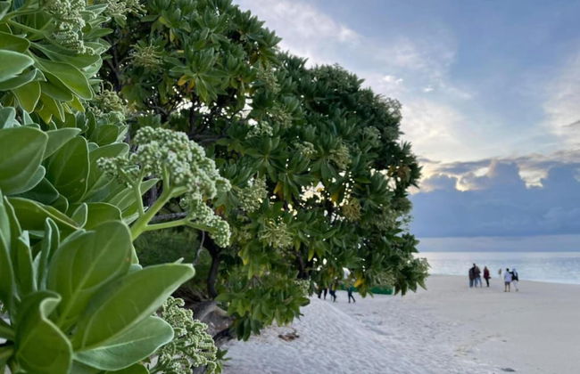 Alafehi Retreat Luxury Villas with Pool Access - Foto 57