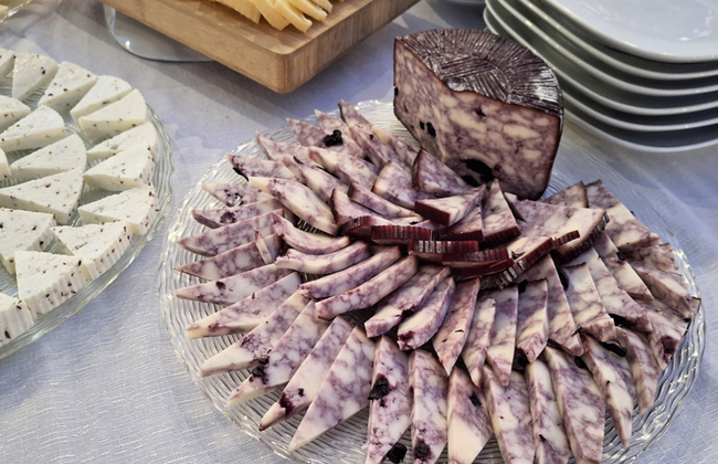 Cheesemaking Workshop in Puglia Near Lecce with Optional Farmer´s Lunch - Foto 3