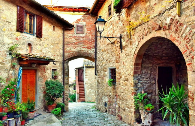 Home Elena private garden Chianti view - Foto 21