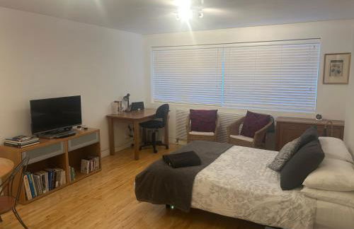 Cozy 1 Bedroom Basement Flat - Foto 4