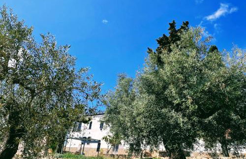 Masia St Salvador 1582 - Foto 7