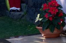 Villa in affitto - Photo 18