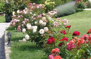 Cascina Curairone - Foto 55